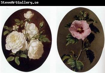 unknow artist Floral, beautiful classical still life of flowers 021